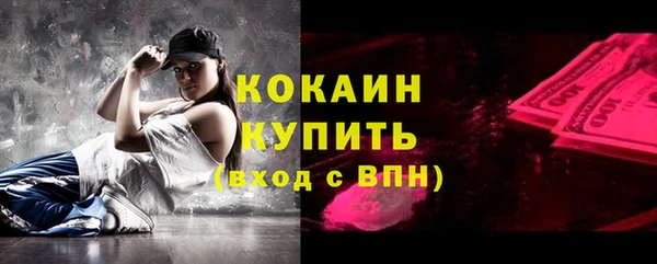 дживик Богородицк
