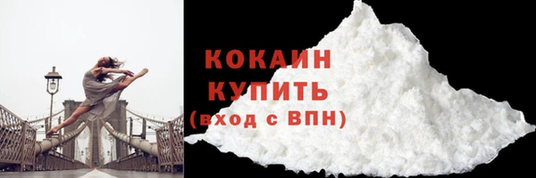 дживик Богородицк