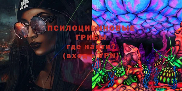 твердый Бородино