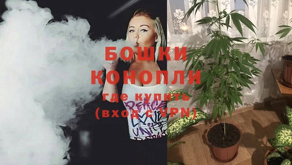 дживик Богородицк