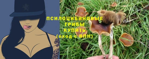 твердый Бородино