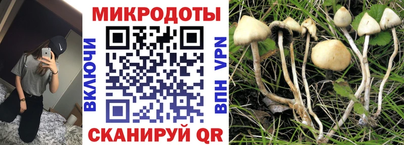 Псилоцибиновые грибы MAGIC MUSHROOMS  купить наркотики цена  Ногинск 