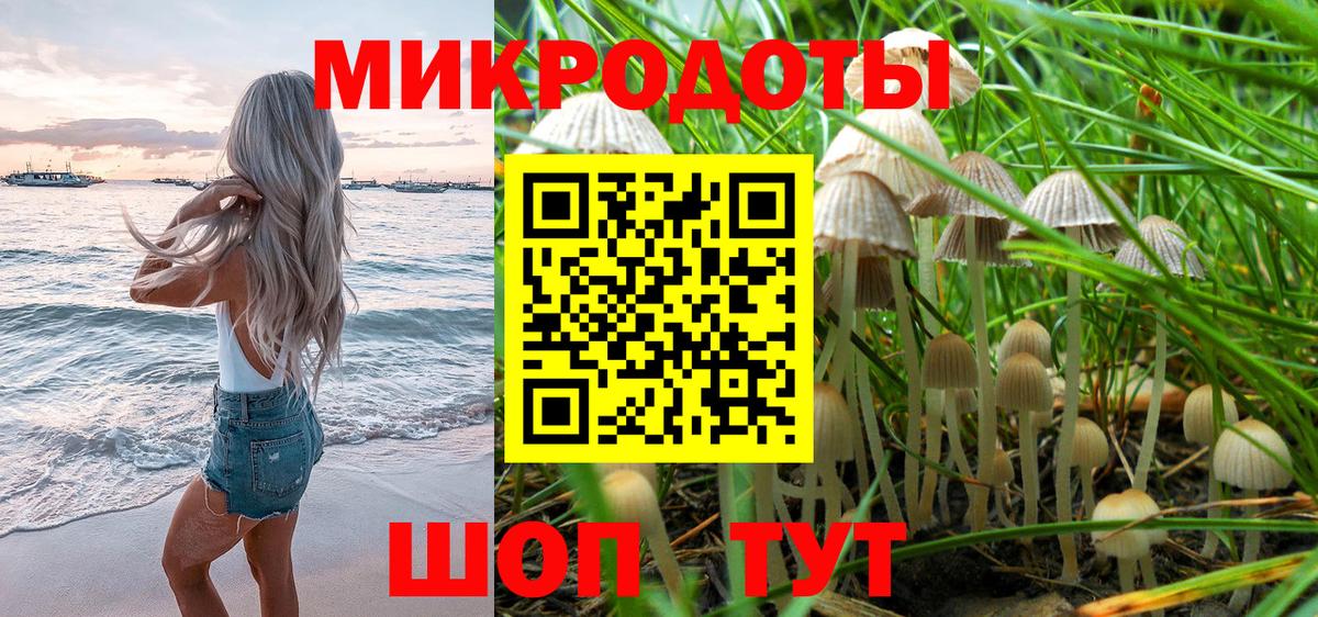 Галлюциногенные грибы Psilocybe Ногинск