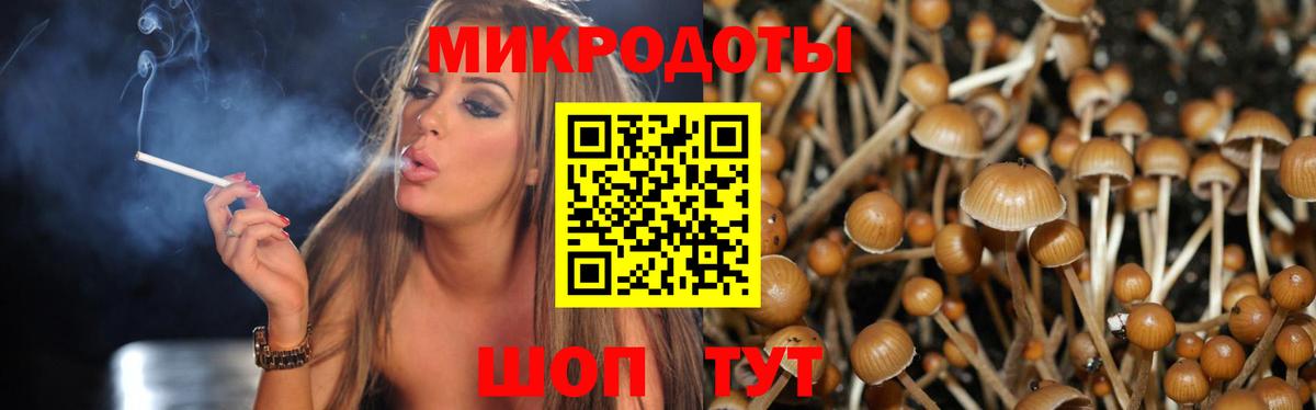 Ногинск  Псилоцибиновые грибы мицелий  Вход с VPN 