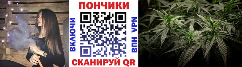 mega зеркало  Ногинск  Бошки марихуана Bruce Banner 